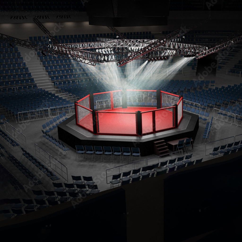 MMA